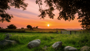 Screen Shot 2018-01-15 at 1.43.21 PM