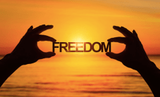 Screen Shot 2019-07-26 at 10.51.30 AM.png