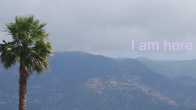 Screen Shot 2020-07-23 at 4.31.06 PM